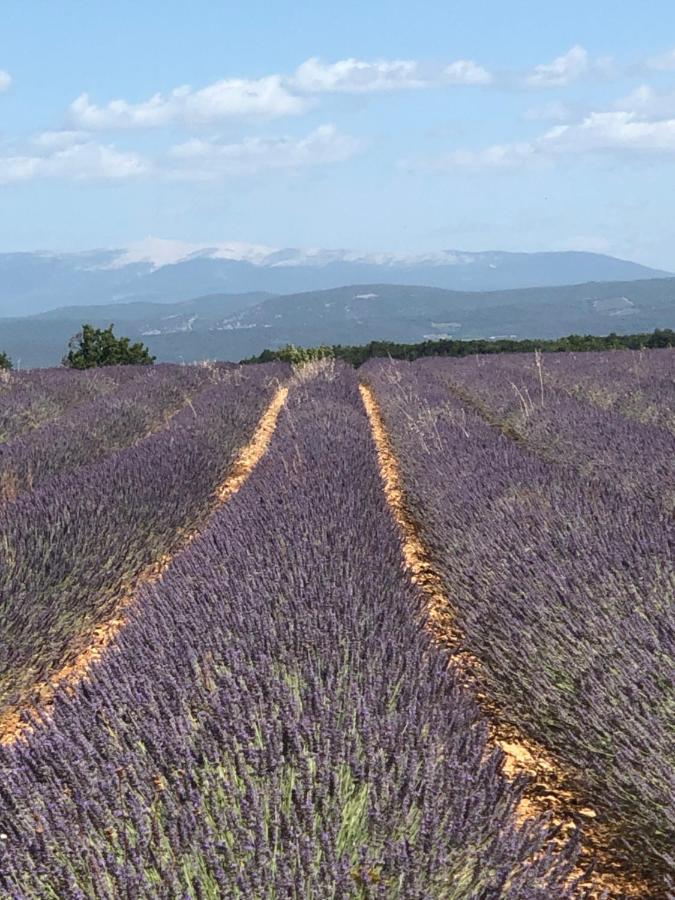 Provence Luberon Bonnieux Location Gite Chez Basile Exterior photo